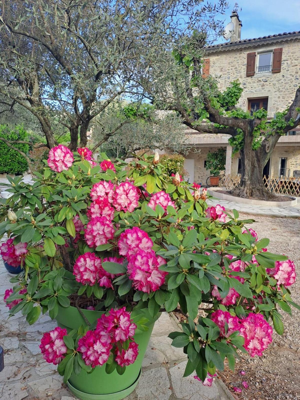 Gite 3 "Le Canal De Baza" Aux Magnolias Aubenas Esterno foto